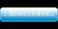 上海聯嶸投資發展有限公司(關于上海聯嶸投資發展有限公司簡述)
