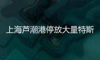 上海蘆潮港停放大量特斯拉汽車或出口歐洲