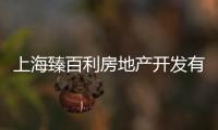 上海臻百利房地產(chǎn)開發(fā)有限公司(關(guān)于上海臻百利房地產(chǎn)開發(fā)有限公司簡述)