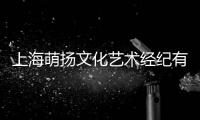 上海萌揚文化藝術經紀有限公司(關于上海萌揚文化藝術經紀有限公司簡述)