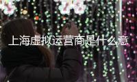 上海虛擬運(yùn)營商是什么意思（運(yùn)營商是什么意思）