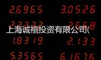 上海誠禧投資有限公司(關于上海誠禧投資有限公司簡述)