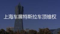 上海車展特斯拉車頂維權女車主被特斯拉索賠500萬