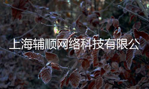 上海輔順網(wǎng)絡(luò)科技有限公司(關(guān)于上海輔順網(wǎng)絡(luò)科技有限公司簡述)