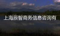 上海辰智商務信息咨詢有限公司(關于上海辰智商務信息咨詢有限公司簡述)