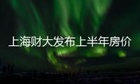 上海財大發布上半年房價指數 一二手房價回暖