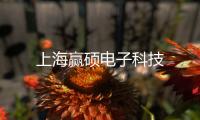 上海贏碩電子科技