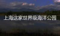 上海這家世界級海洋公園今年將開園迎客（圖）