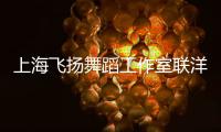 上海飛揚舞蹈工作室聯洋二分部(關于上海飛揚舞蹈工作室聯洋二分部簡述)