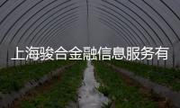 上海駿合金融信息服務有限公司(關(guān)于上海駿合金融信息服務有限公司簡述)