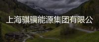 上海騏驥能源集團有限公司(關于上海騏驥能源集團有限公司簡述)