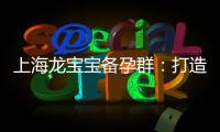 上海龍寶寶備孕群：打造健康寶寶的首選社群與必備互動平臺