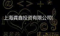 上海龔鑫投資有限公司(關于上海龔鑫投資有限公司簡述)