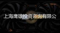 上海鷹雄投資咨詢有限公司(關于上海鷹雄投資咨詢有限公司簡述)