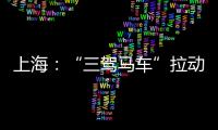 上海：“三駕馬車”拉動信息服務業
