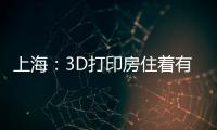 上海：3D打印房住著有點悶