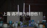 上海 請不要為我悲傷！(關于上海 請不要為我悲傷！簡述)