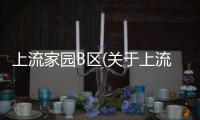 上流家園B區(關于上流家園B區簡述)