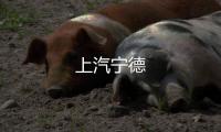 上汽寧德