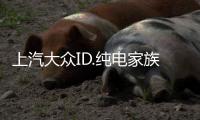上汽大眾ID.純電家族7月銷量達10086輛