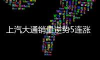 上汽大通銷量逆勢5連漲 海外市場大增25.86%