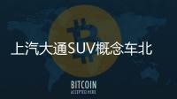 上汽大通SUV概念車北京車展亮相 命名D90