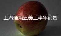 上汽通用五菱上半年銷量超105萬 同比增長