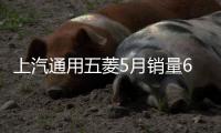 上汽通用五菱5月銷量6.16萬輛 同比下降39%