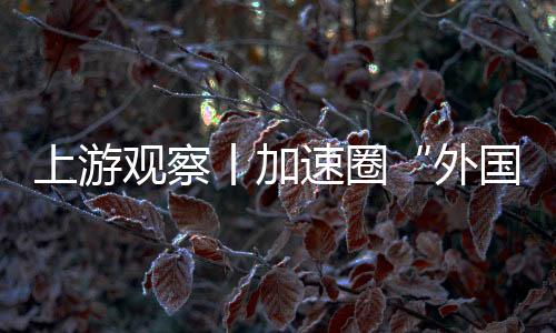 上游觀察丨加速圈“外國粉” 很city的重慶有準備