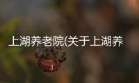 上湖養老院(關于上湖養老院簡述)