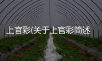上官彩(關于上官彩簡述)