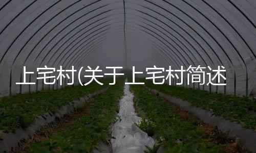上宅村(關(guān)于上宅村簡(jiǎn)述)