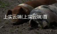 上實云端(上實云端)首頁網站