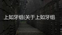 上如牙組(關(guān)于上如牙組簡述)