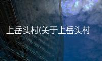 上岳頭村(關于上岳頭村簡述)