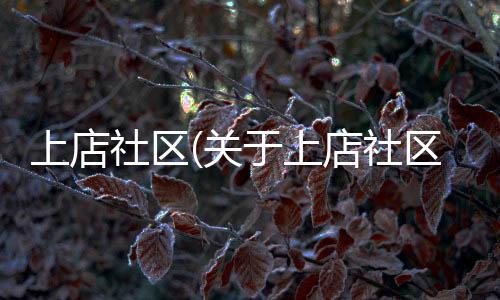 上店社區(關于上店社區簡述)