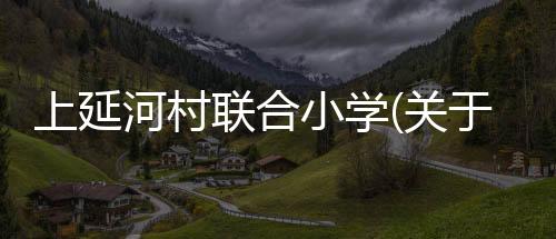 上延河村聯(lián)合小學(xué)(關(guān)于上延河村聯(lián)合小學(xué)簡(jiǎn)述)