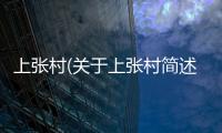 上張村(關(guān)于上張村簡(jiǎn)述)