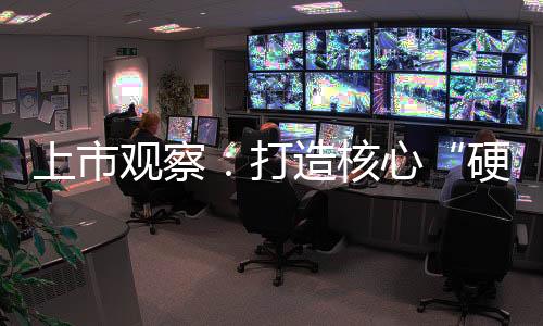 上市觀察：打造核心“硬實力”，2024上半年營收凈利均達雙位數增長