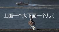 上面一個大下面一個兒（上面一個大下面一個面）