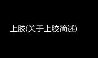上膠(關于上膠簡述)