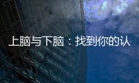 上腦與下腦：找到你的認知模式(關于上腦與下腦：找到你的認知模式簡述)