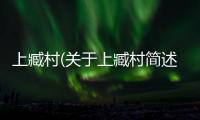 上臧村(關于上臧村簡述)