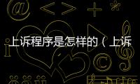 上訴程序是怎樣的（上訴程序）