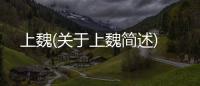上魏(關于上魏簡述)