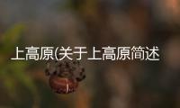 上高原(關(guān)于上高原簡述)