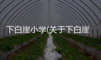 下白崖小學(關于下白崖小學簡述)