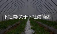下社溝(關于下社溝簡述)