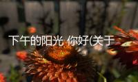 下午的陽光 你好(關于下午的陽光 你好簡述)