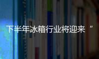 下半年冰箱行業將迎來“細分市場圈地戰”